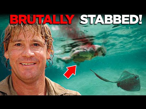 The TERRIFYING Last Moments of Steve Irwin “The Crocodile Hunter”