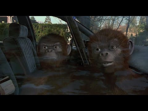 Jumanji 1995   The Monkeys