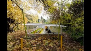 An Office In The Woods Selgas Cano Architecture