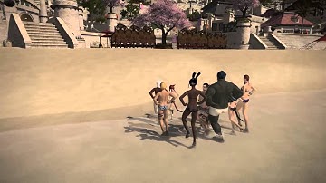 FINAL FANTASY XIV: A Realm Reborn - Warrior