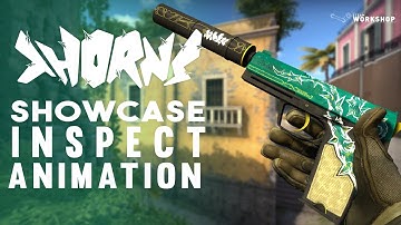 USP-S | Thorns Inspect Animation