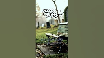 #تلاوة_خاشعة #القرآن_الكريم #اكسبلور #كتاب_الله