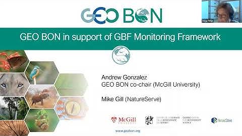 Webinar: Supporting the implementation of the Post-2020 Global Biodiversity Framework