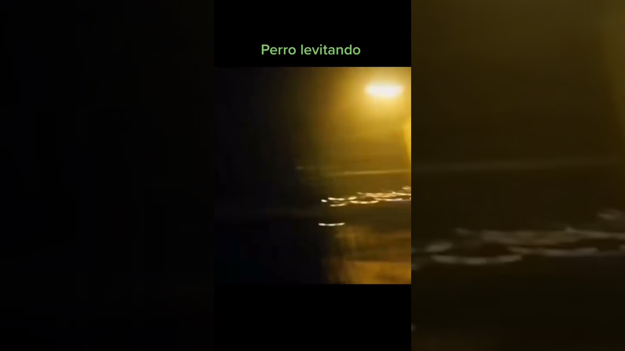Videos paranormales de miedo dkb terror vol.2