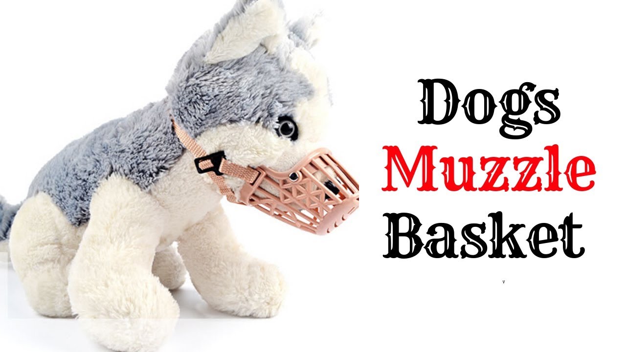 products of glycolysis Dogs Muzzle Basket 2019
