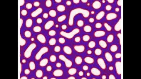 Binary mixture spinodal decomposition: mean-field approach