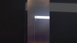 Crea apps con Python y Flutter | Fácil y rápido