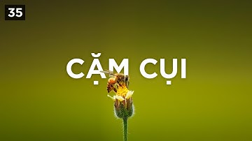 Những áp lực tiêu cực và sự cặm cụi