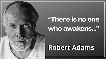 Wanneer de zoeker verdwijnt — Robert Adams over True Awakening