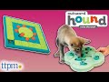 Puppies Review Nina Ottosson Treat Puzzles from Outward Hound!