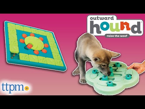 Nina Ottosson by Outward Hound Puppy Lickin' Layers Dog Puzzle Game, 