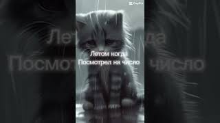 #лето #пустьзалетит #эстетика #школа