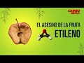 Etileno. El Asesino De Tus Frutas 🥭☠️ | Cargo Depot