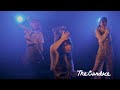The Candace - なつのひかり (Official Live Clip)