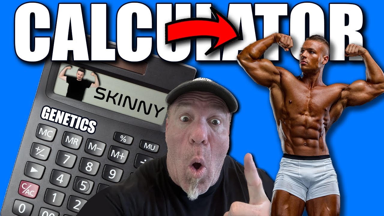 Muscle Calculator Predicts Your Max Size bodybuilding YouTube