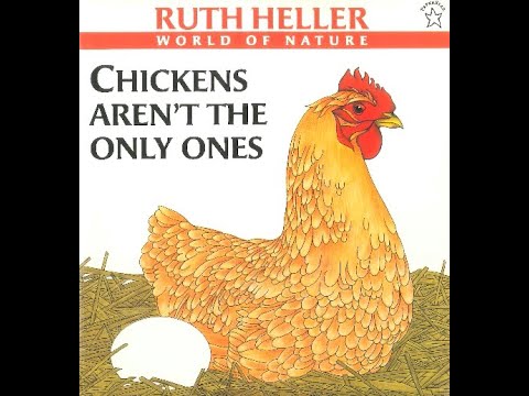 Chickens Aren't the Only Ones - YouTube