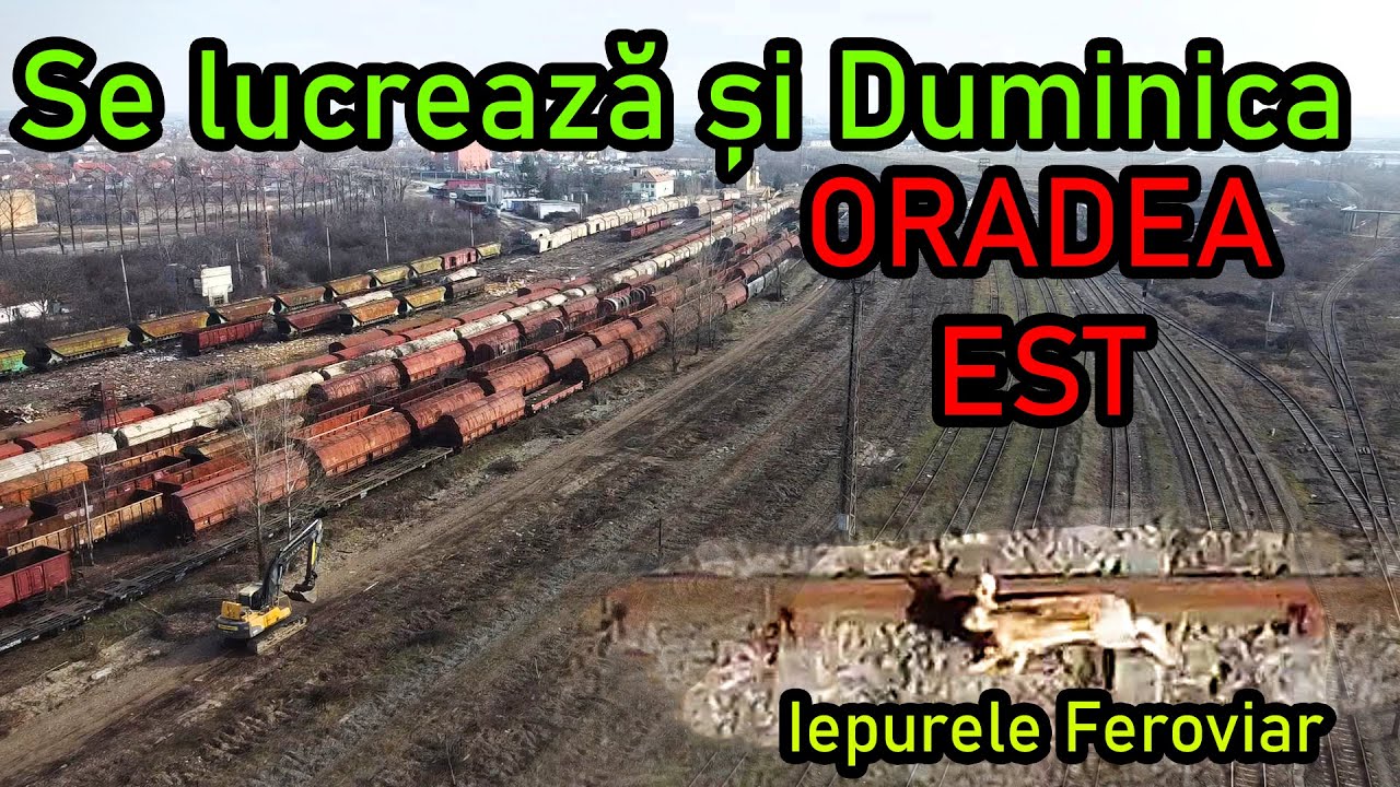 Se lucrează și duminica 💪🔥🚚🚜🚂Oradea Est Triaj-Iepurele feroviar 🐰🚂💥💖 09.02.2025