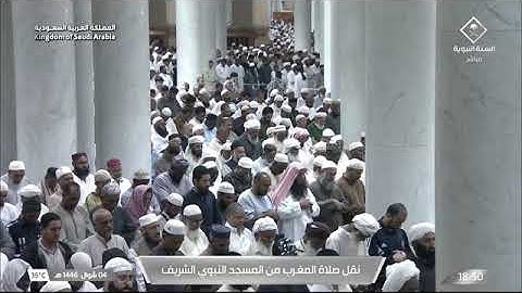 صلاة المغرب للشيخ أ.د. #محمد_برهجي الأربعاء 4 شوال 1446هـ خواتيم سورة الحشر 18-24