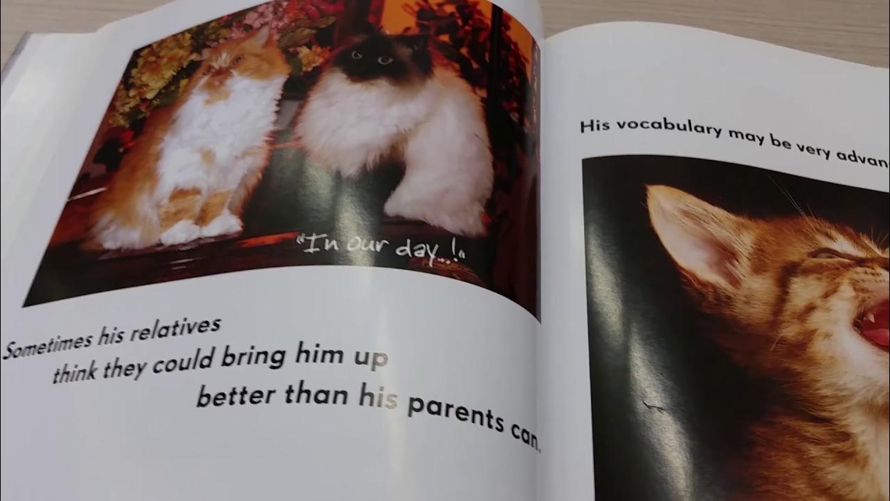 All cats have Aspergers syndrome by Kathy Hoopman YouTube