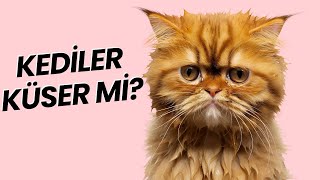 KEDİLER KÜSER Mİ? 😿 (Kedileri İncitmenin 6 Yolu) by VOLİPET - Ali Aktas 4,874 views 3 months ago 9 minutes, 29 seconds