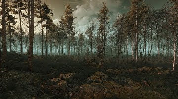 Lighting Deluxe 3.0 / Swamp (Fraudulent E3 2014) #Final