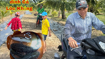 Cấm câu mà nó Phê…. Mới cấm 3 cần là dính rồi… Dế Nhũi siêu nhạy cá lóc.