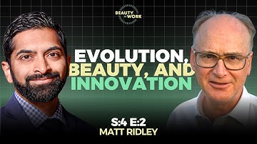 The Evolution of Beauty and the Beauty of Innovation – with Matt Ridley