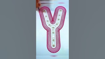 Drop a 💬 if your name starts with Y ! #spirograph #asmr #satisfying #shorts #relaxing #art #usa