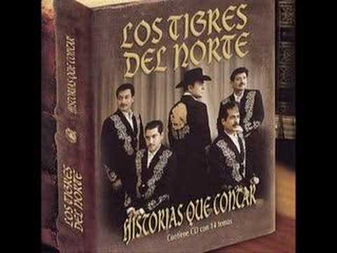 Los Tigres Del Norte Que Te Parece