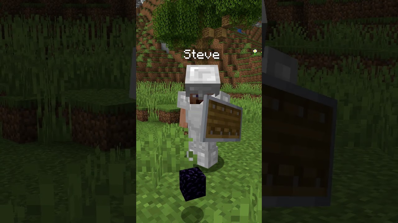 طبيعة لاعبين ماينكرافت 😂🔥 #minecraft #ماين_كرافت