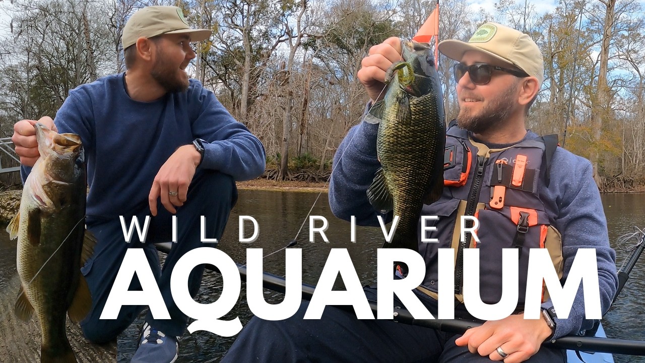 Kayak Fishing a CRYSTAL CLEAR River in Florida for Big Bass!