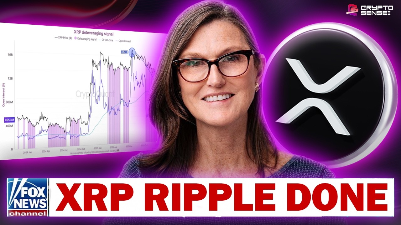 XRP AND RIPPLE *DONE* (''XRP WILL CHANGE THE WORLD''!?!?)