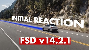 Tesla FSD v14.2.1 Takes On Wrong-Way Driver