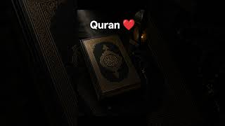 #quranrecitation #quranverses #quran #qurantilawat #qurantranslation