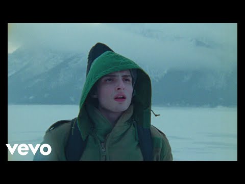 Finn Wolfhard - Objection!