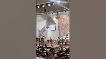 Bài Hát Về Mẹ Maria Kết Thúc Thánh Lễ GX Văn Hải Long Thành #shorts