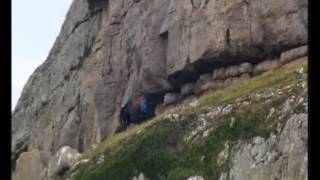 Mountain Goats - amazing rock climbers