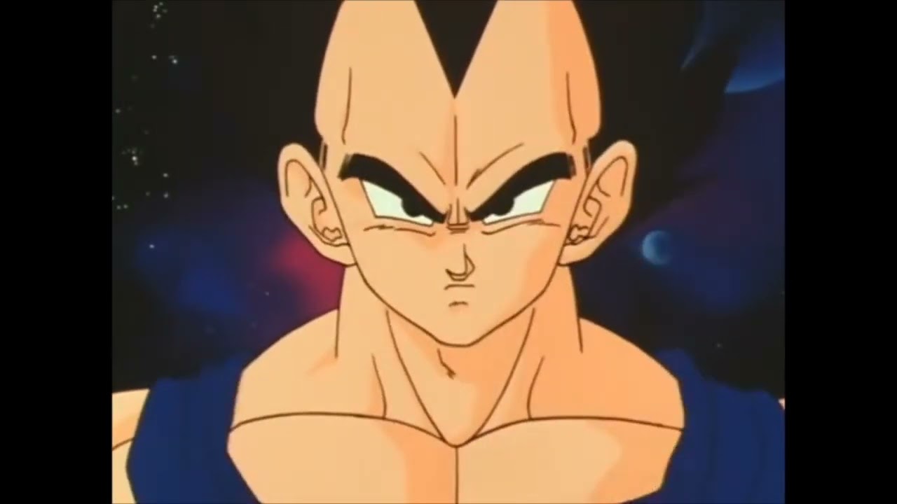 vegeta Vs Pui Pui