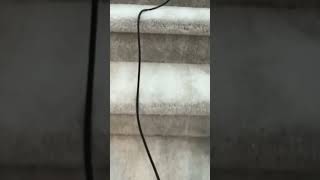 8051 Ralston Creek Ave Promo Video