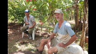 German Town Jamaica, Documentary