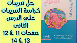 حل تدريبات كراسة تدريبات كتاب الإمتحان درس تركيب المادة علوم الصف الأول الإعدادي الترم الأول 2024