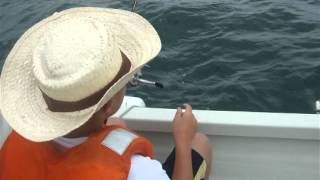 2012-0810 キス釣り