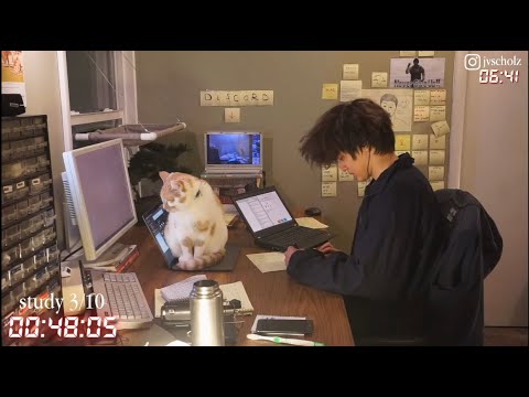 study with me live pomodoro