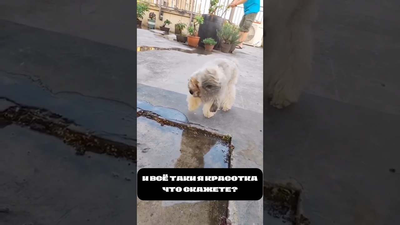 БЫСТРО ПИШИ,ПРАВДА? 