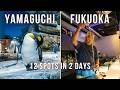 Ultimate Japan Guide: Yamaguchi & Fukuoka in 2 Days! 11 Must-Visit Spots (Cave, Markets, Food)