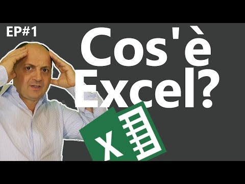 Video: Excel è il software più utilizzato al mondo?