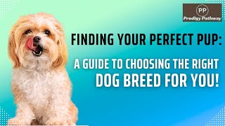 Finding Your Perfect Pup A Guide to Choosing the Right Dog Breed for You