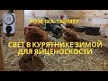 Освещение в курятнике зимой