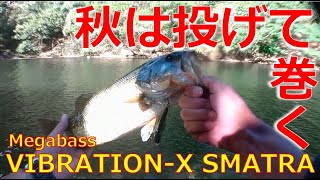 【ブラックバス】Megabass VIBRATION-X SMATRA × Megabass DESTROYER F3-61X × SHIMANO scorpion Metanium Mg