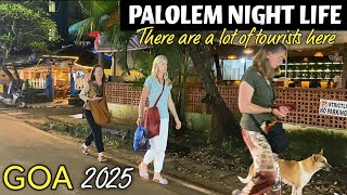 PALOLEM NIGHT LIFE 2025 | GOA WEATHER 2025 ☀️ | PALOLEM BEACH | GOA VLOG | GOA 2025 |
